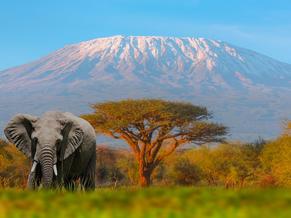 Africa Package 3 Tanzania Zanzibar