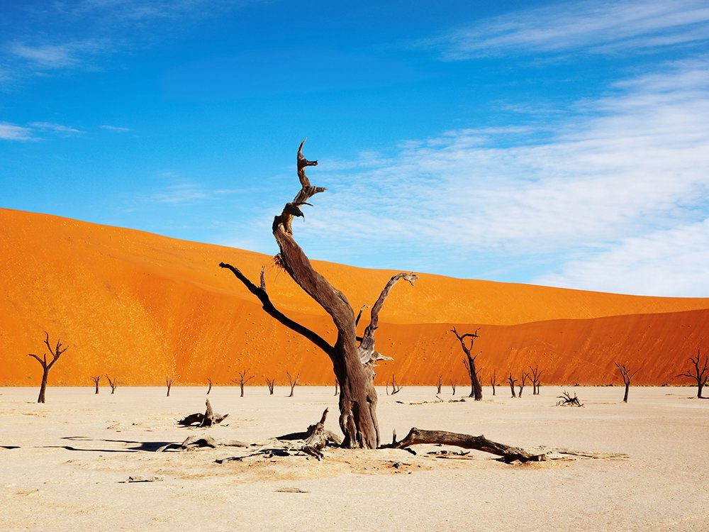 Africa Package 6 Namibia Desert Safari