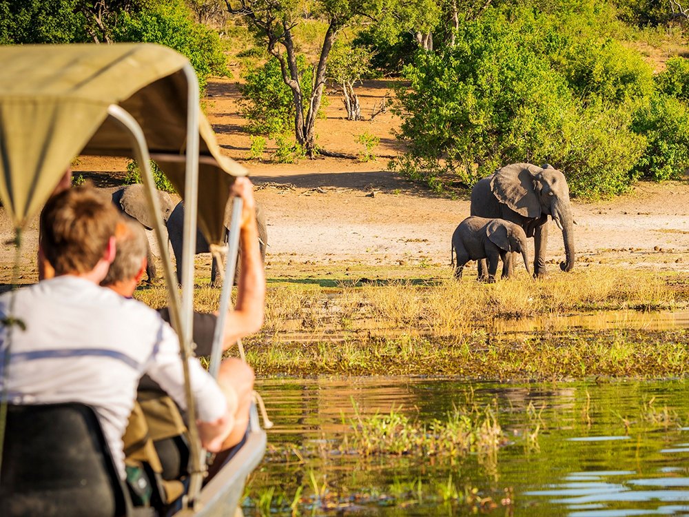 Africa Package 8 Botswana Luxury Safari