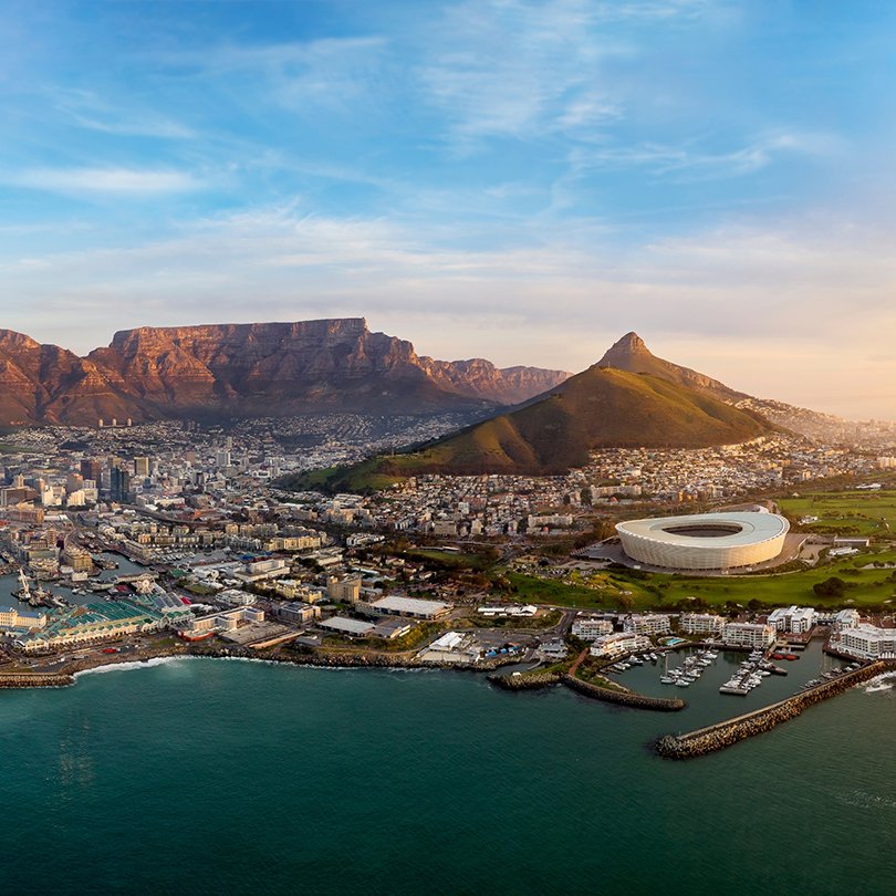 Daffodils New Website Landing Pages Square Images - Africa: 4 Wh