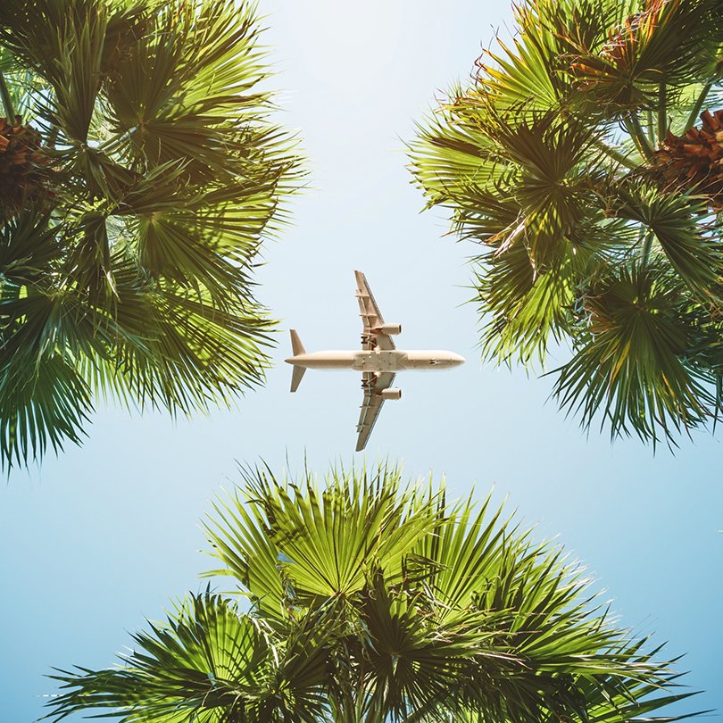 Daffodils New Website Landing Pages Square Images - Airline & St