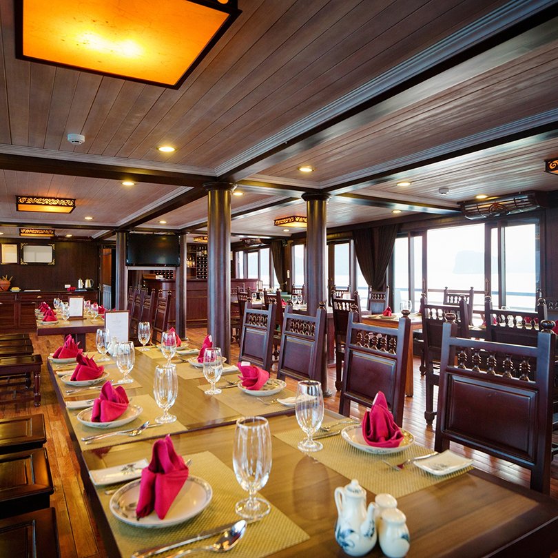 Daffodils New Website Landing Pages Square Images -  Cruise 4 Wh