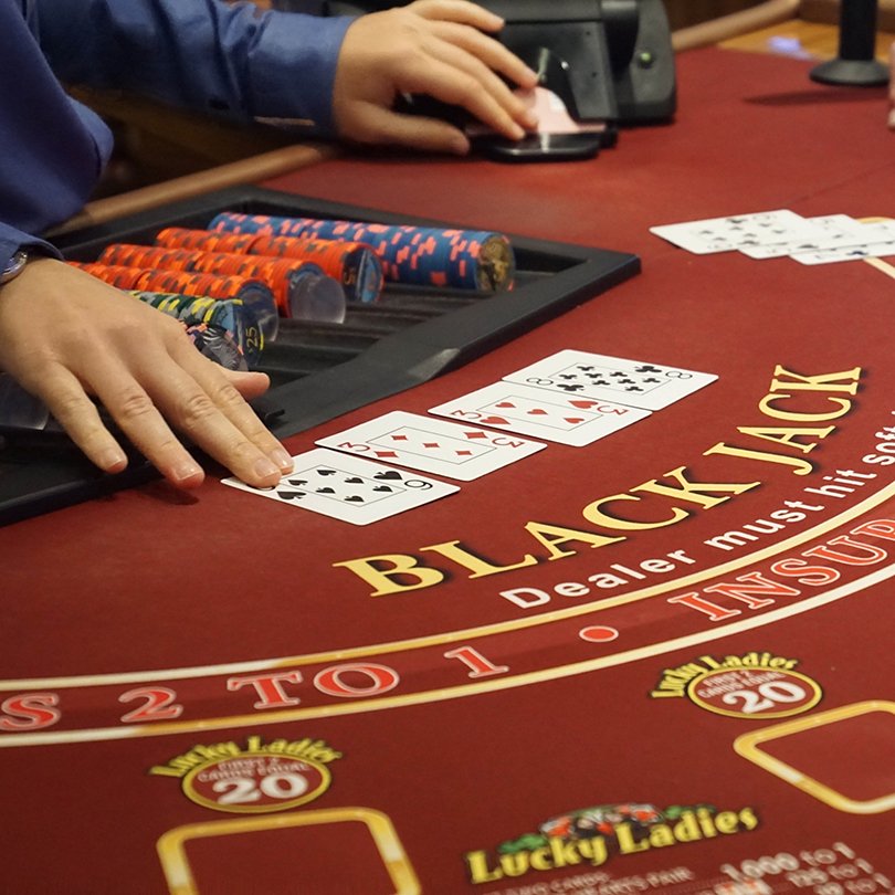 Daffodils New Website Landing Pages Square Images -  Cruise 5 Wh