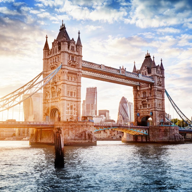 Daffodils New Website Landing Pages Square Images - Europe: 2 Wh