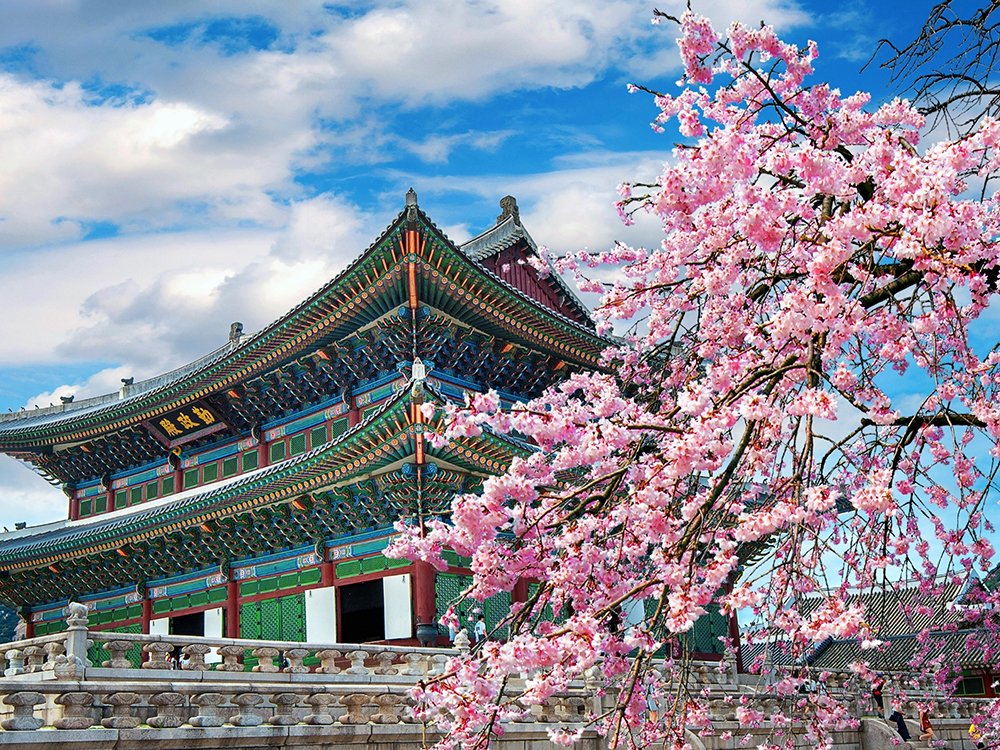 Tour Package 3 South Korea
